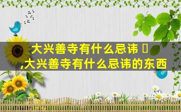 大兴善寺有什么忌讳 ☘ ,大兴善寺有什么忌讳的东西